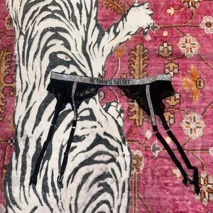 Victoria’s secret sparkly garter belt